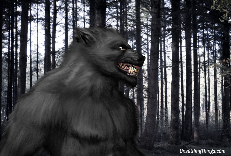 Fascinating Tales of the Michigan Dogman - Unsettling Things